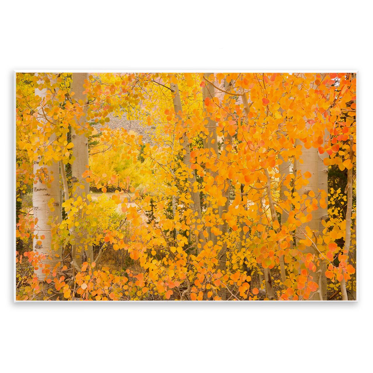 Stupell Industries Dense Birch Foliage Wall Plaque Art